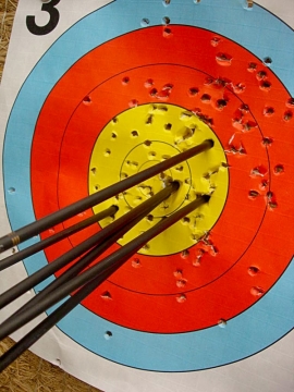 Archery golds in Somerset
