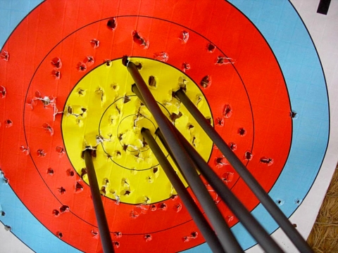 Archery golds in Somerset