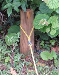 Shooting Line Archery The Post Shooting Line Archery The Post